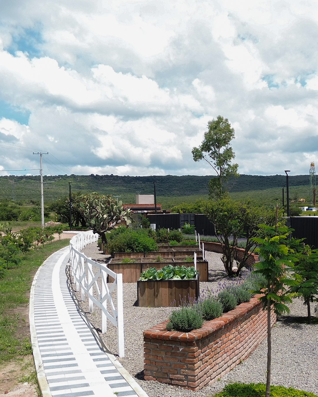 Zona de huertos